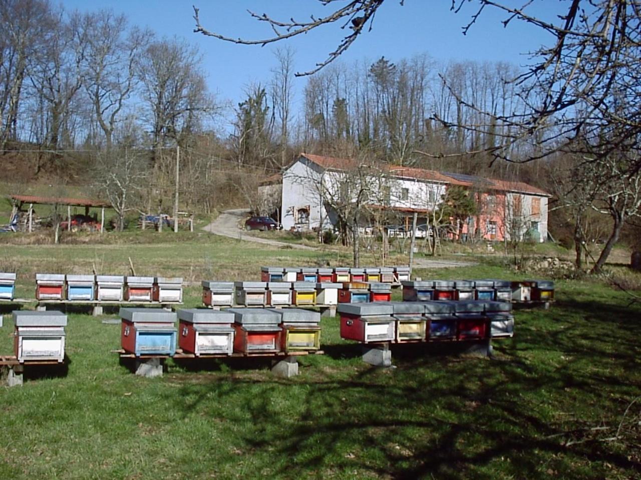Agriturismo Ca Rossano Villa Licciana Nardi Luaran gambar